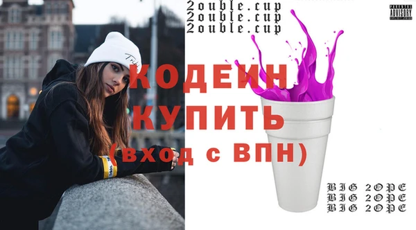 шишки Лабытнанги