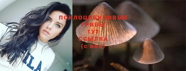 шишки Лабытнанги