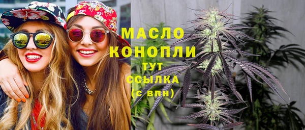 шишки Лабытнанги