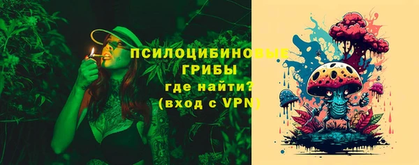 шишки Лихославль