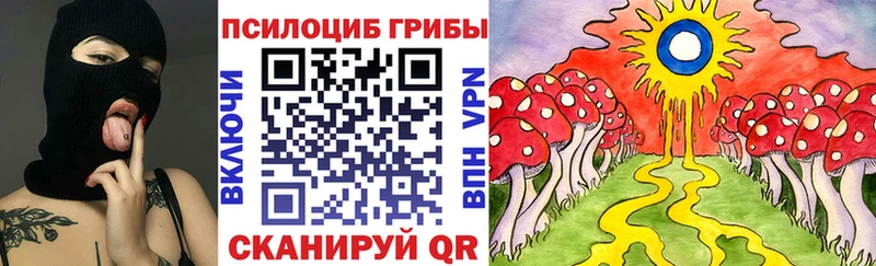 где продают   Фатеж  Галлюциногенные грибы Psilocybine cubensis 